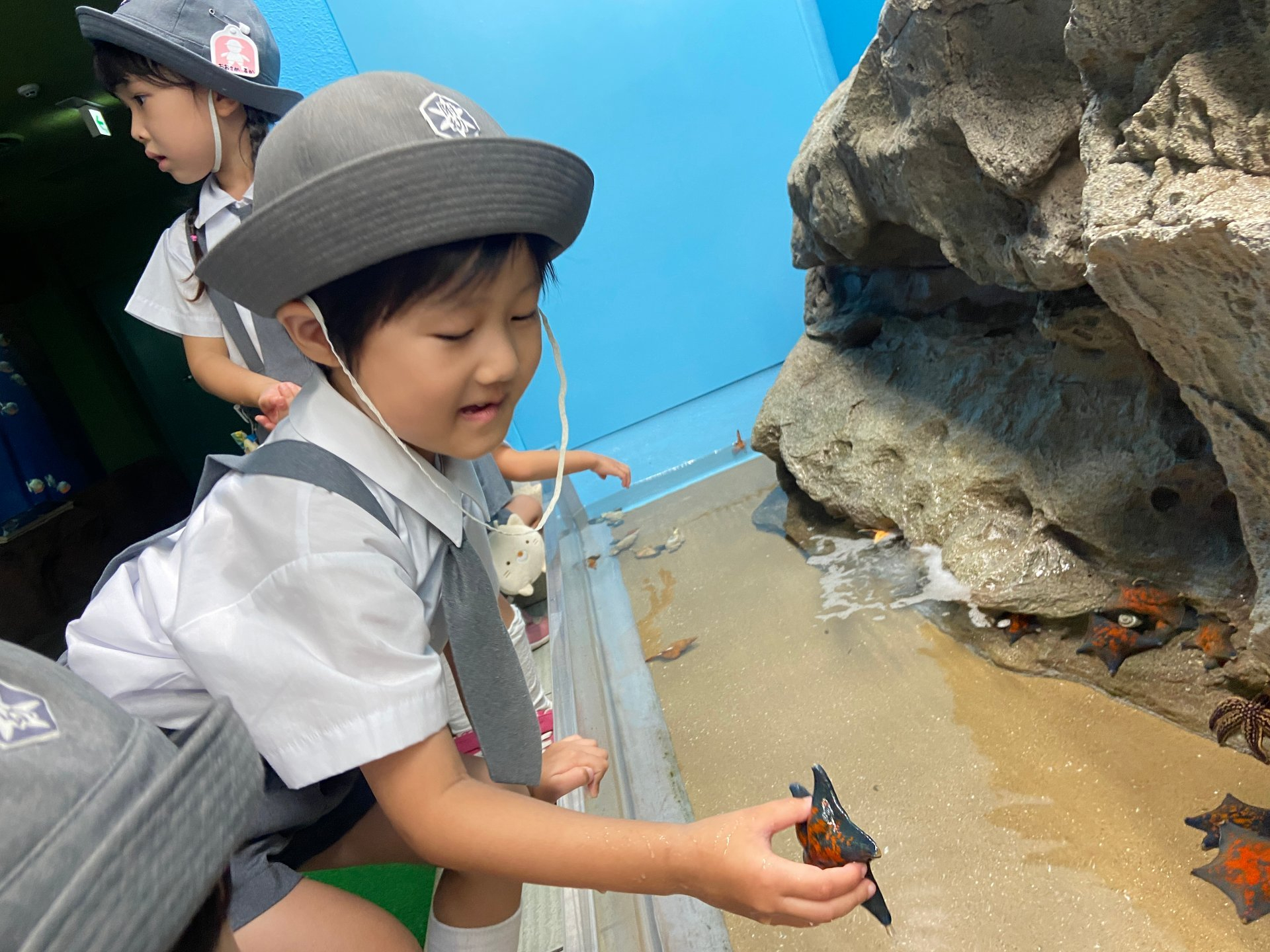 タッチコーナーで楽しむ園児たち