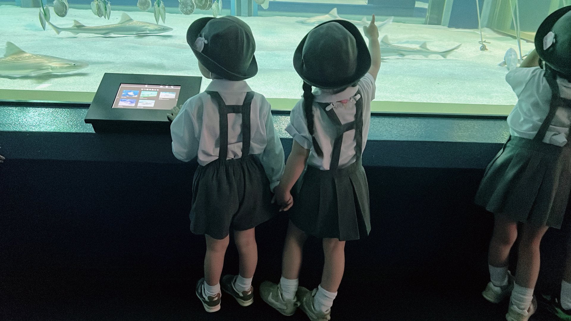 ○o。.水族館見学.。o○