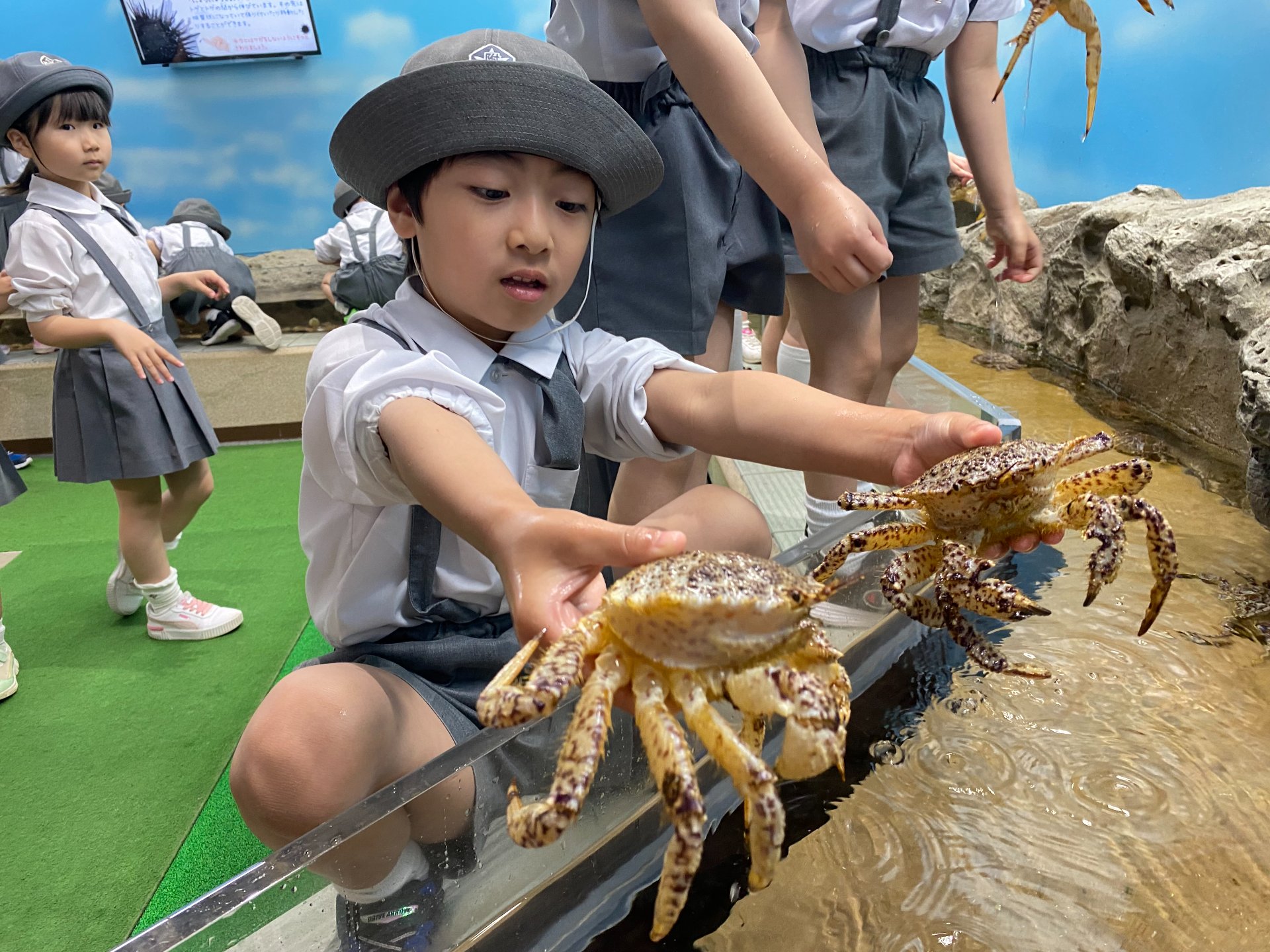 ○o。.水族館見学.。o○