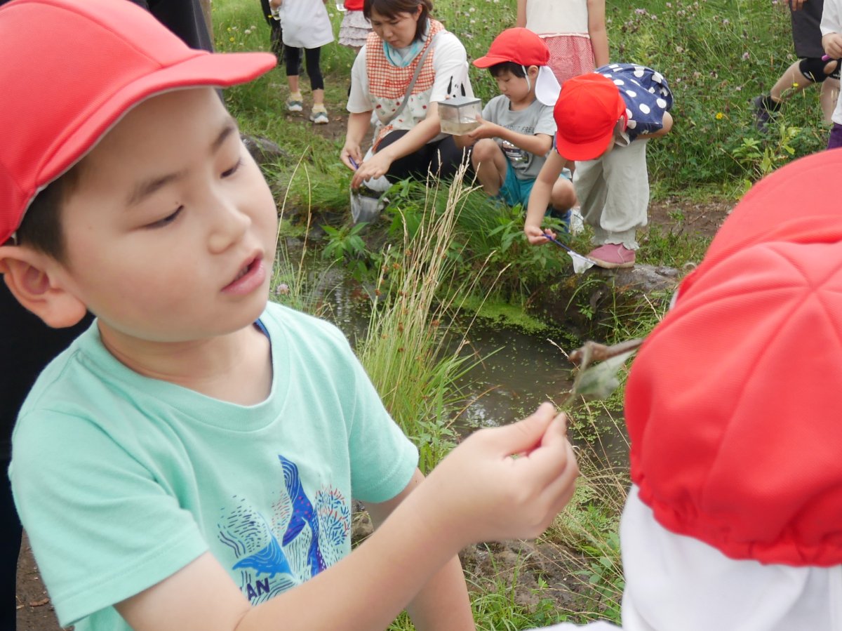 横内小1年生とビオトープで交流会～幼保小連携架け橋プログラム～