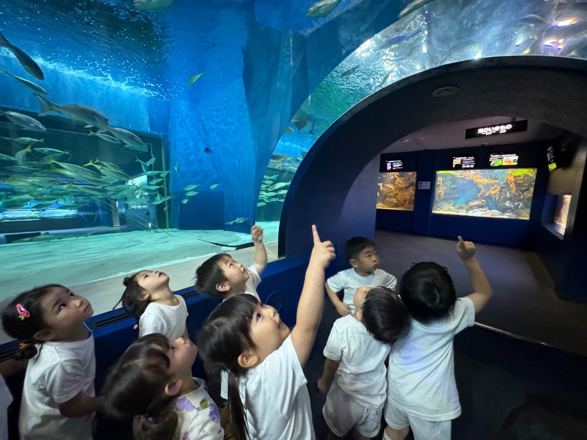 水族館見学