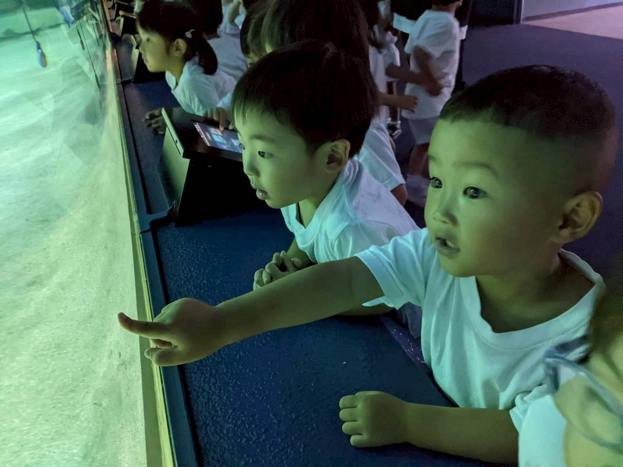 ☆水族館見学☆