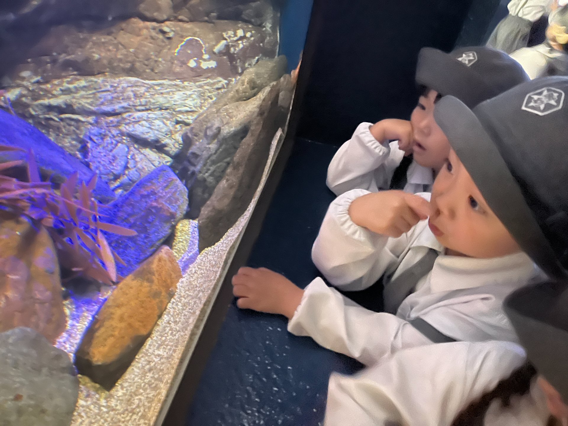 ☆水族館見学☆