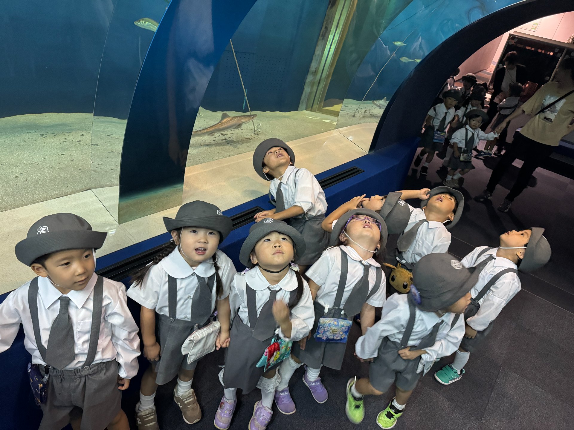 ★水族館見学★