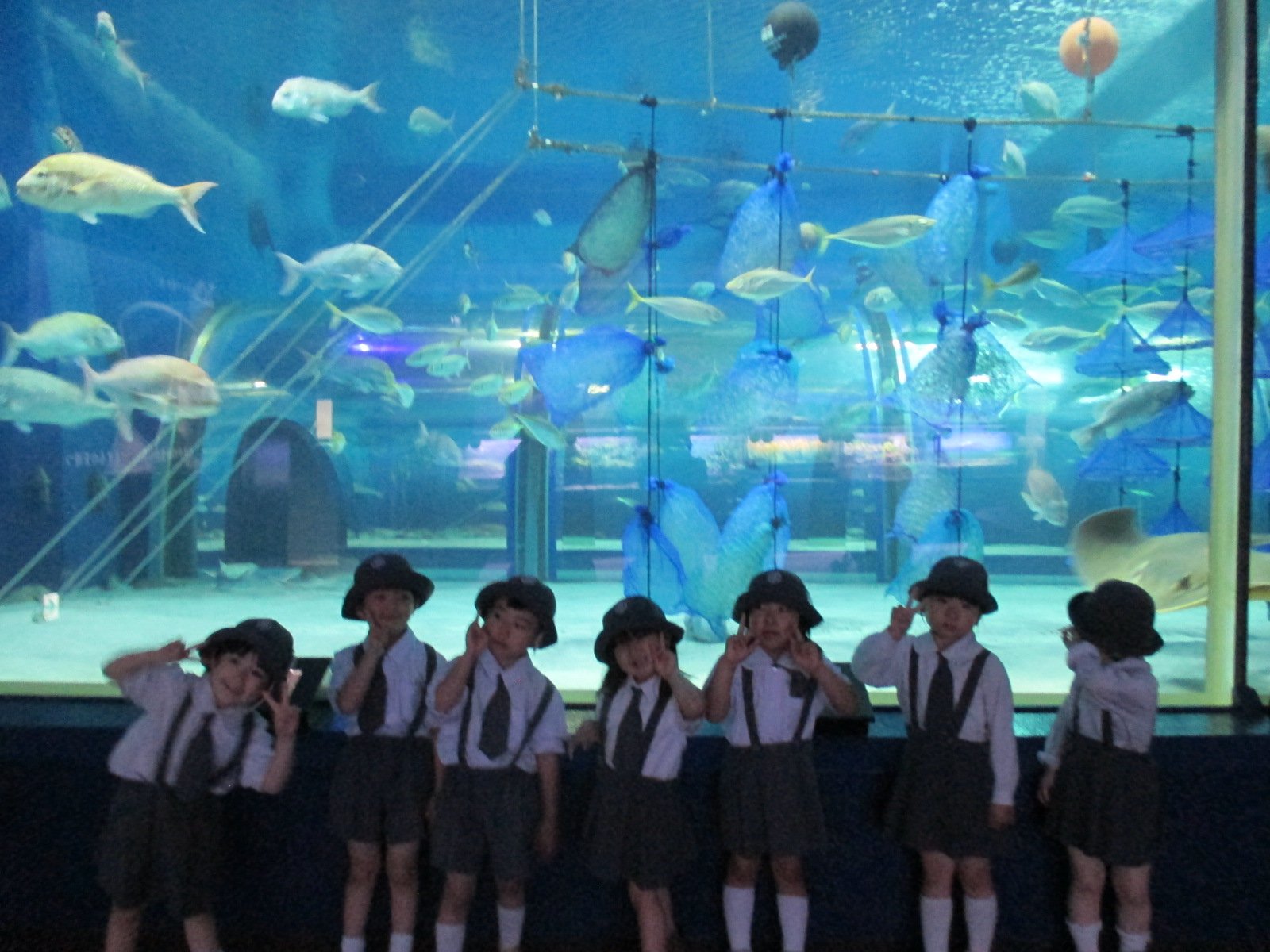 水族館見学
