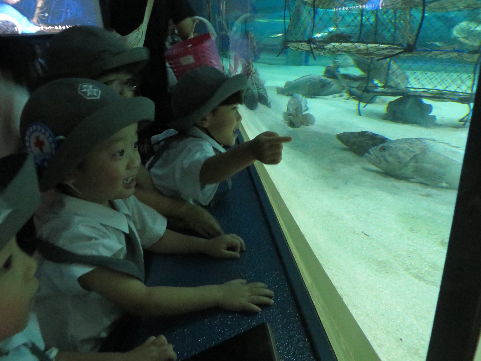 水族館を満喫する園児たち
