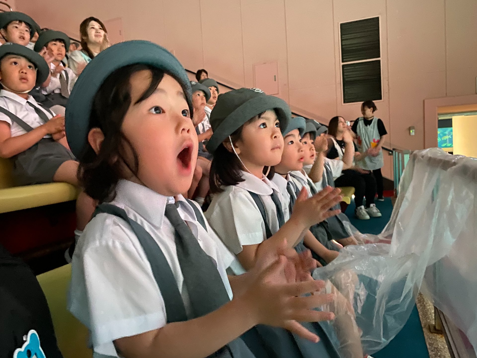 ○o。.水族館見学.。o○