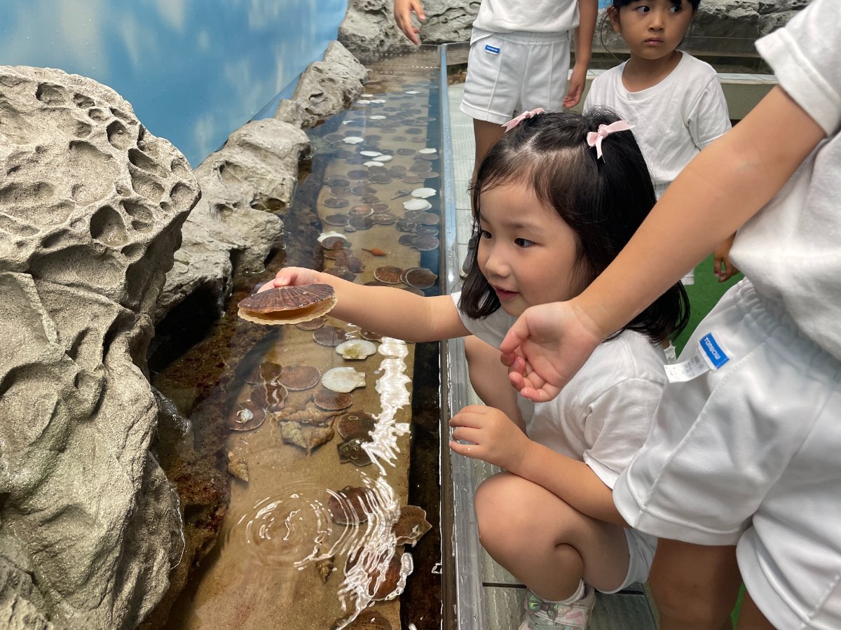 水族館見学