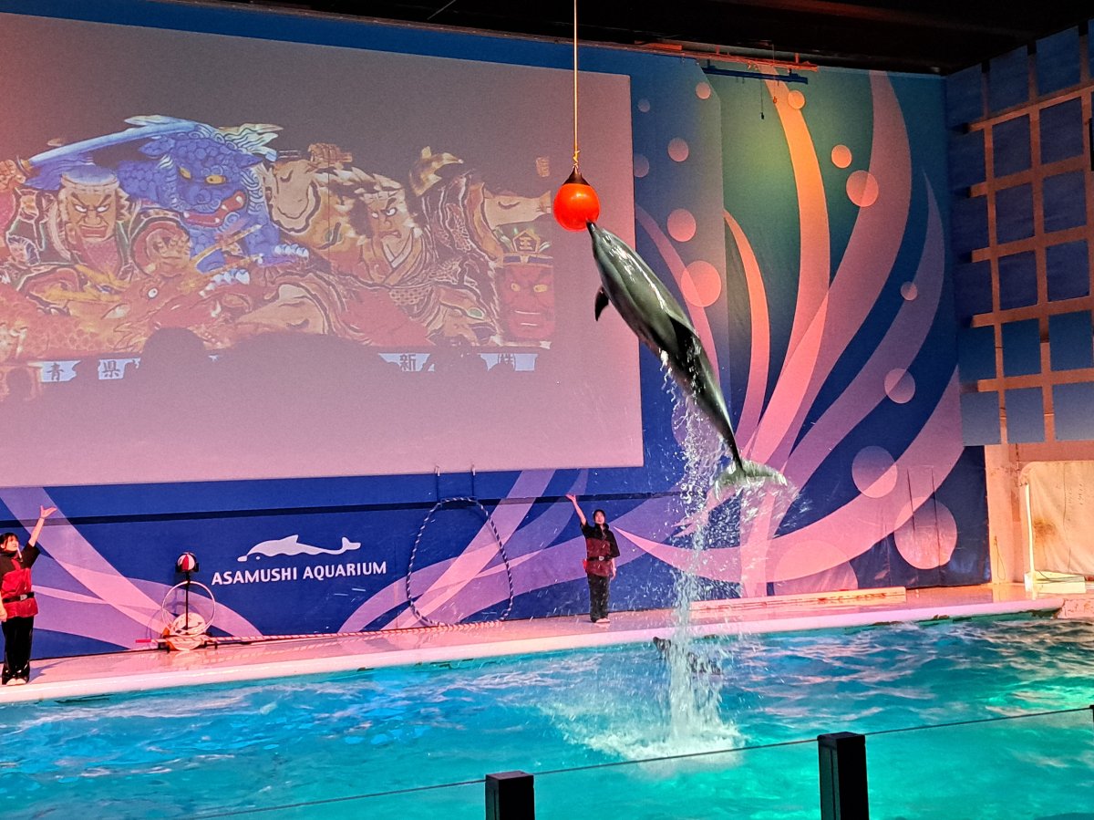 ★水族館見学★