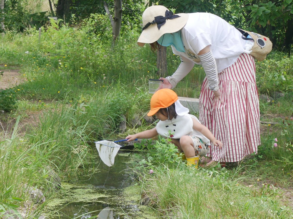親子で遊ぼう