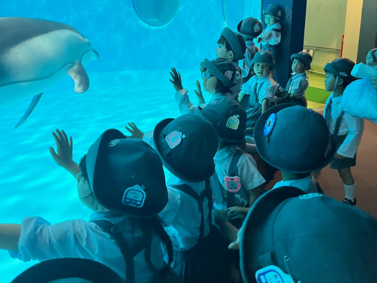 ★水族館見学★