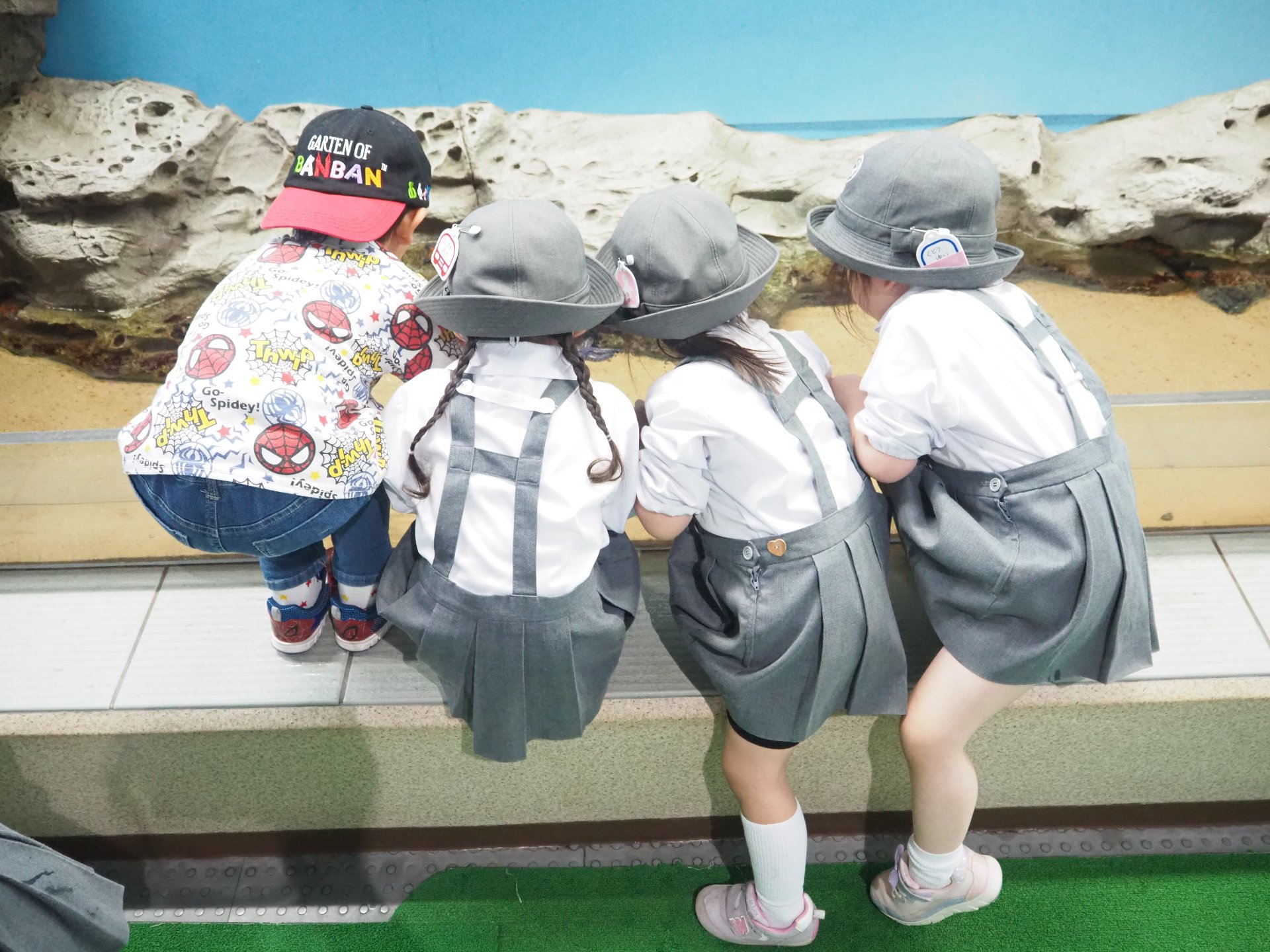 ○o。.水族館見学.。o○