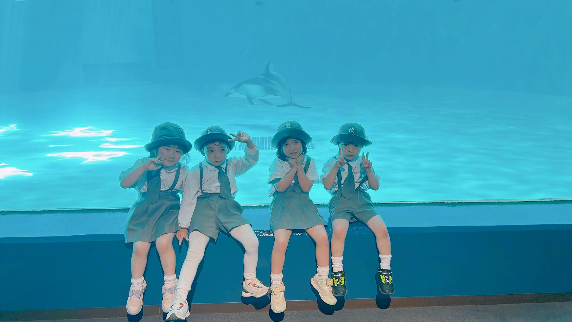 ○o。.水族館見学.。o○