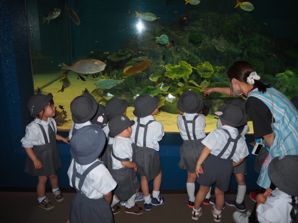 水族館を楽しむ園児たち