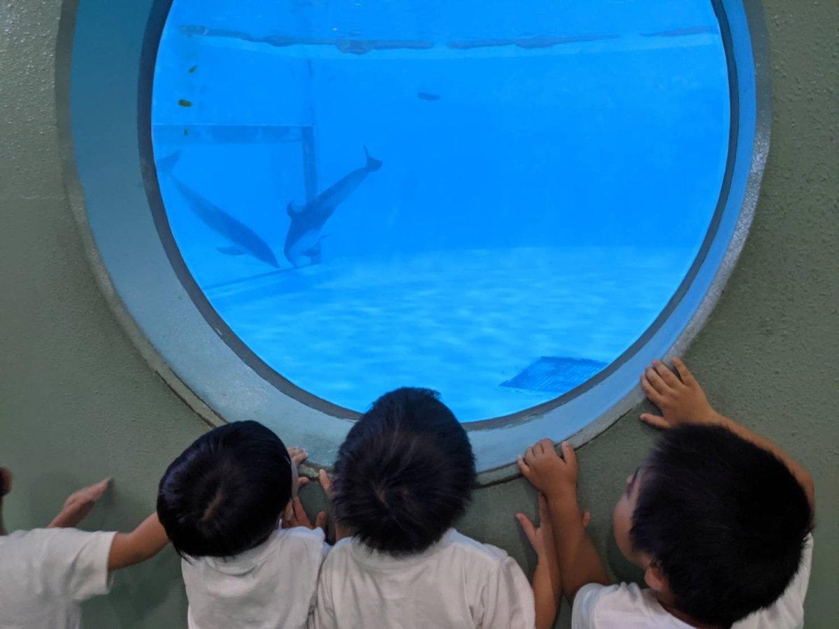 水族館見学