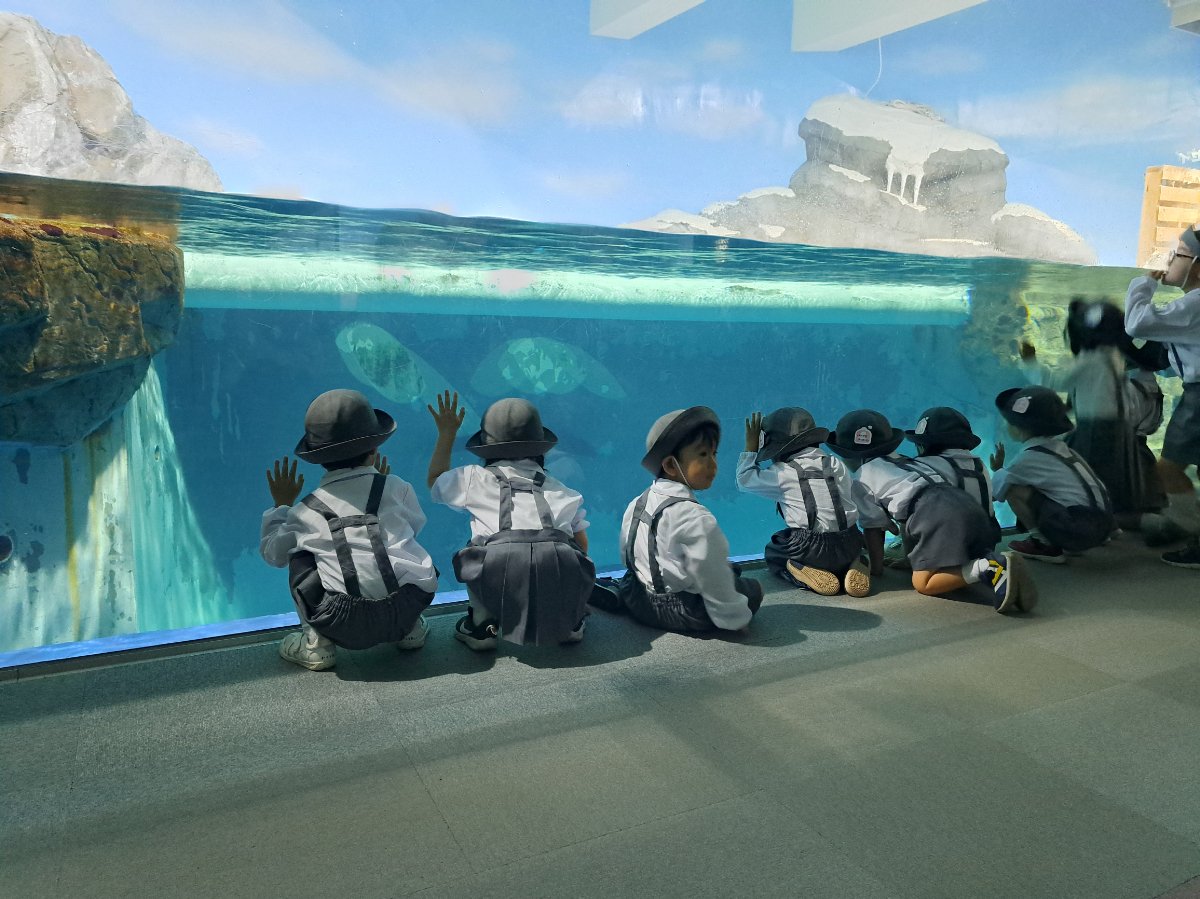 ★水族館見学★