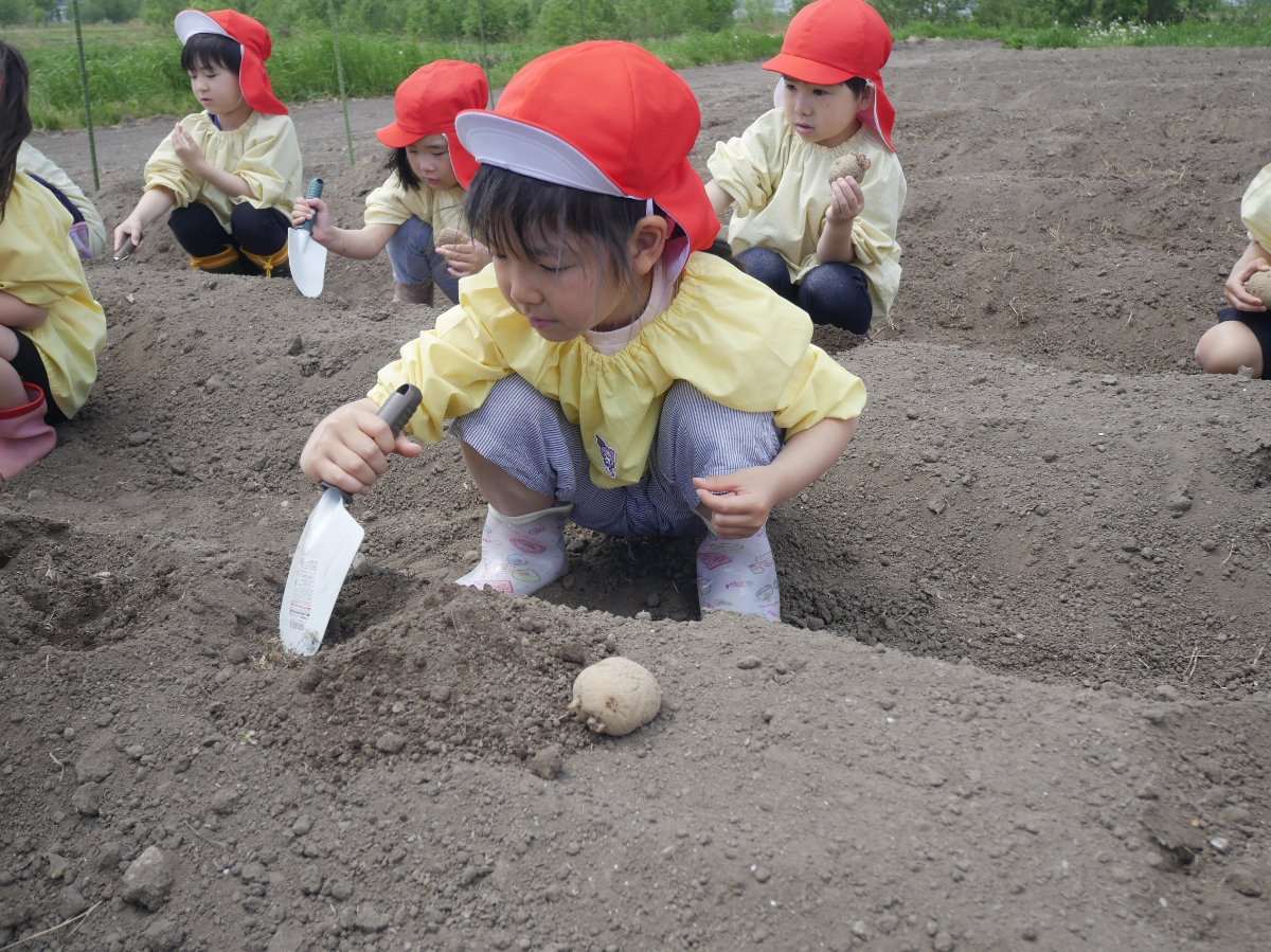 じゃがいも植え！！