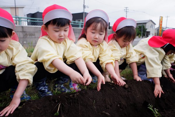 いも植えをしたよ！