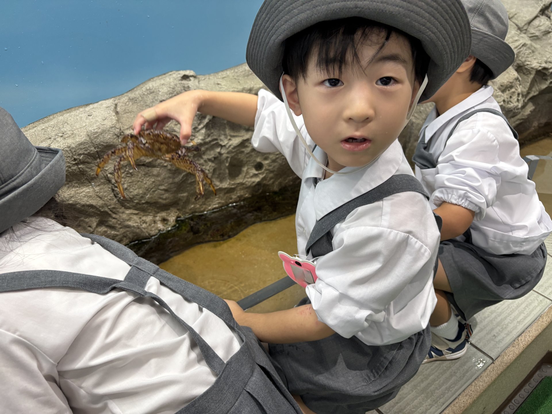 ★水族館見学★