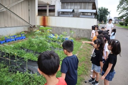 原別小学校で散歩を楽しむ園児たち