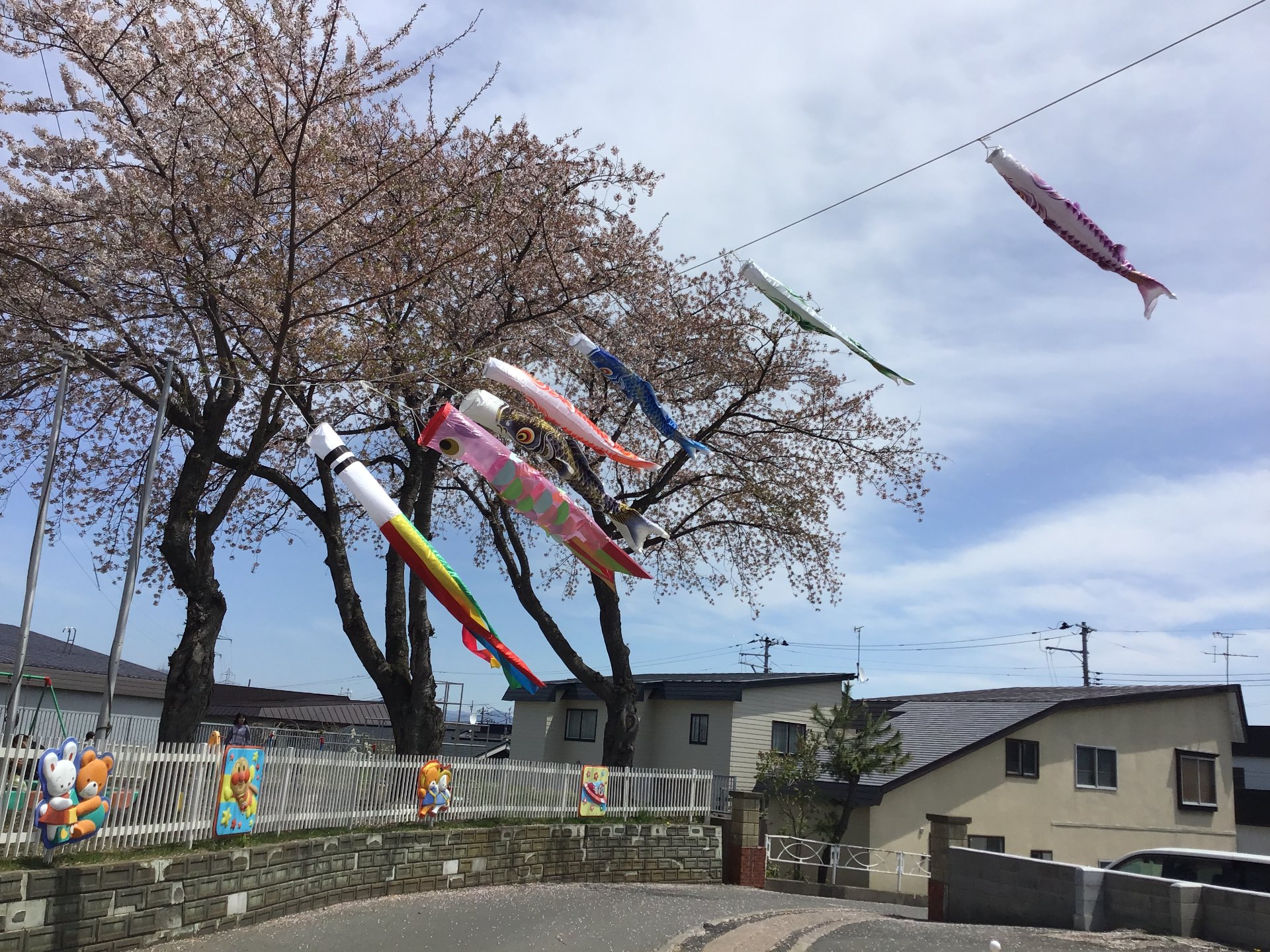 ５月★こいのぼり誕生会