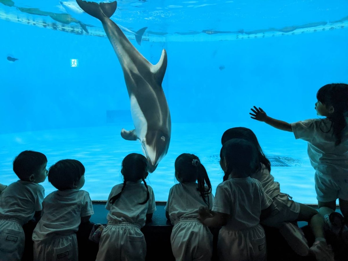 水族館見学