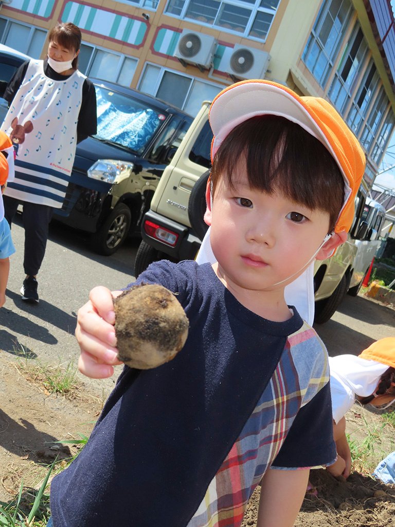 いもほりをする園児たち