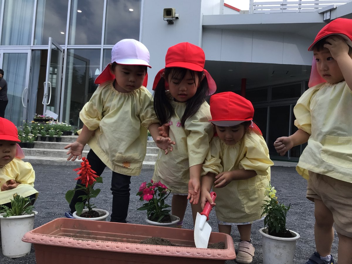 花育