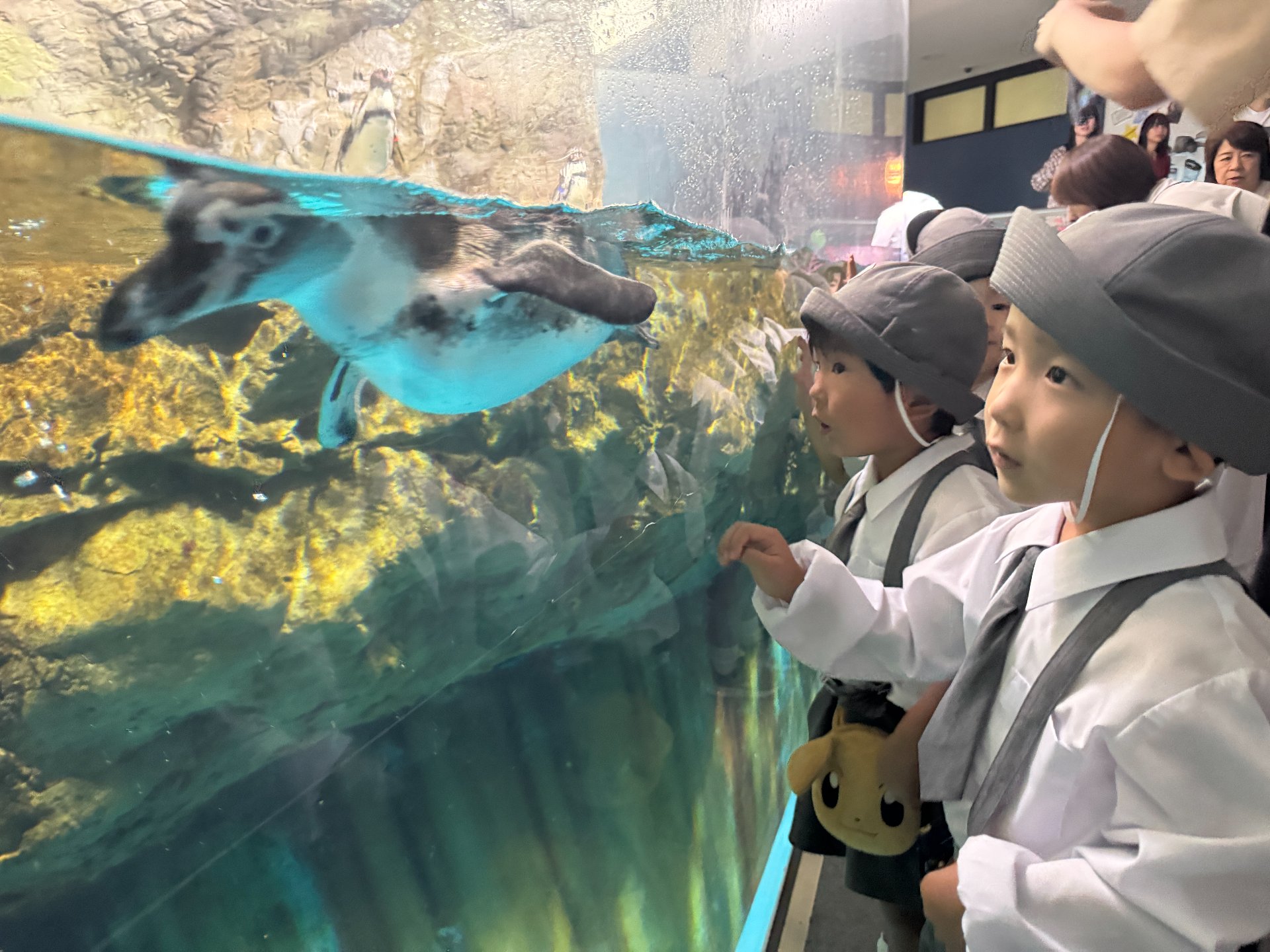 ★水族館見学★