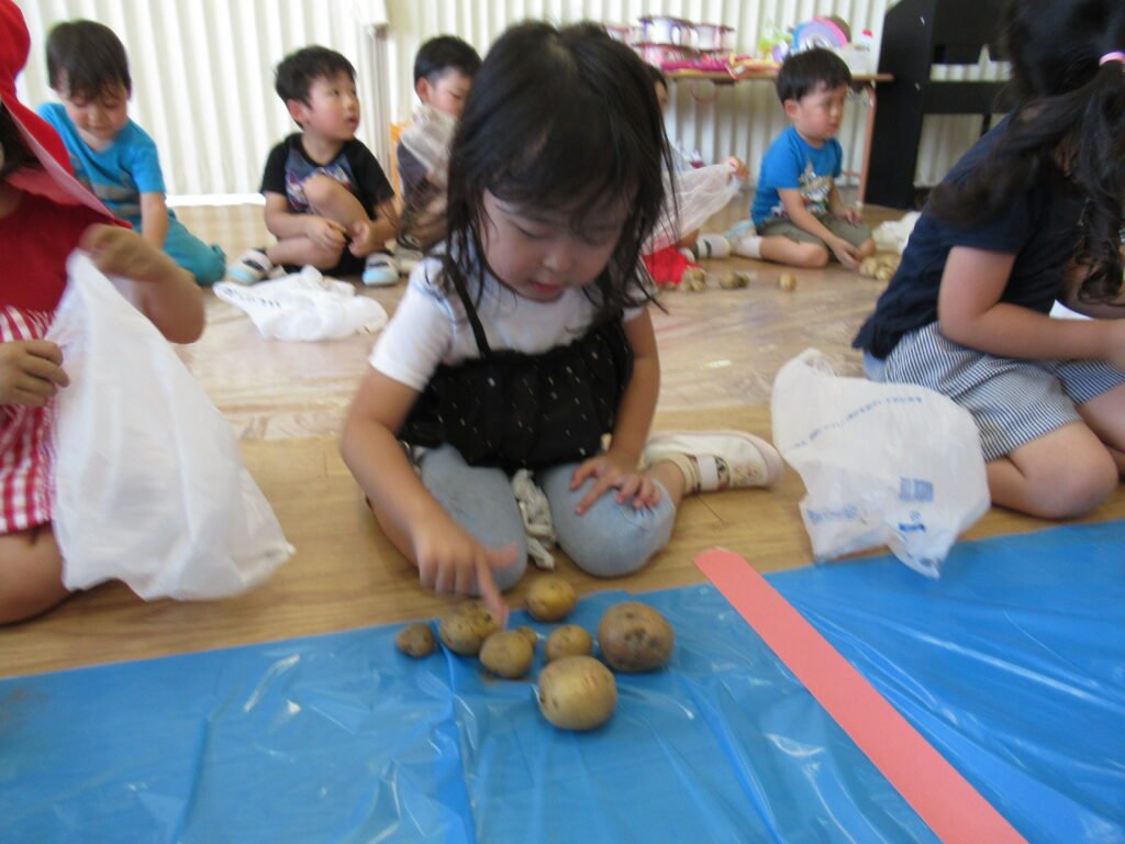 掘ったおいもを観察する園児たち