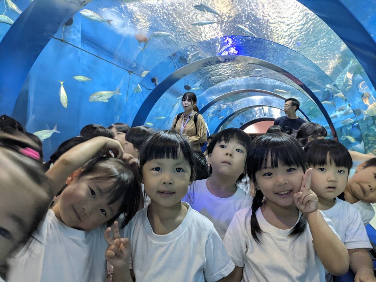 水族館見学