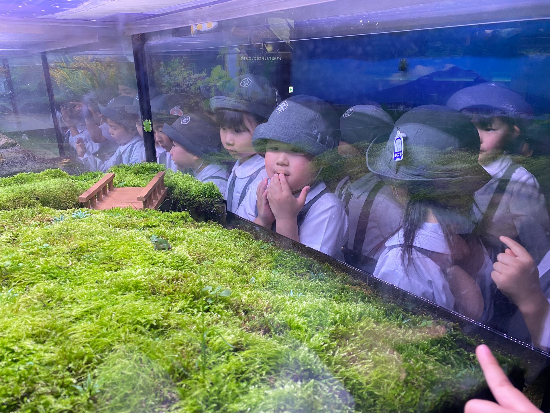 ○o。.水族館見学.。o○
