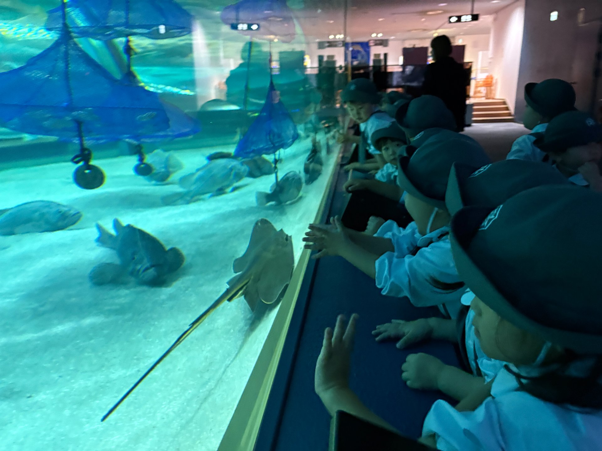 ☆水族館見学☆