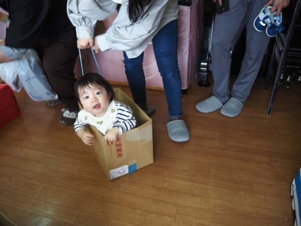 春の保育参観