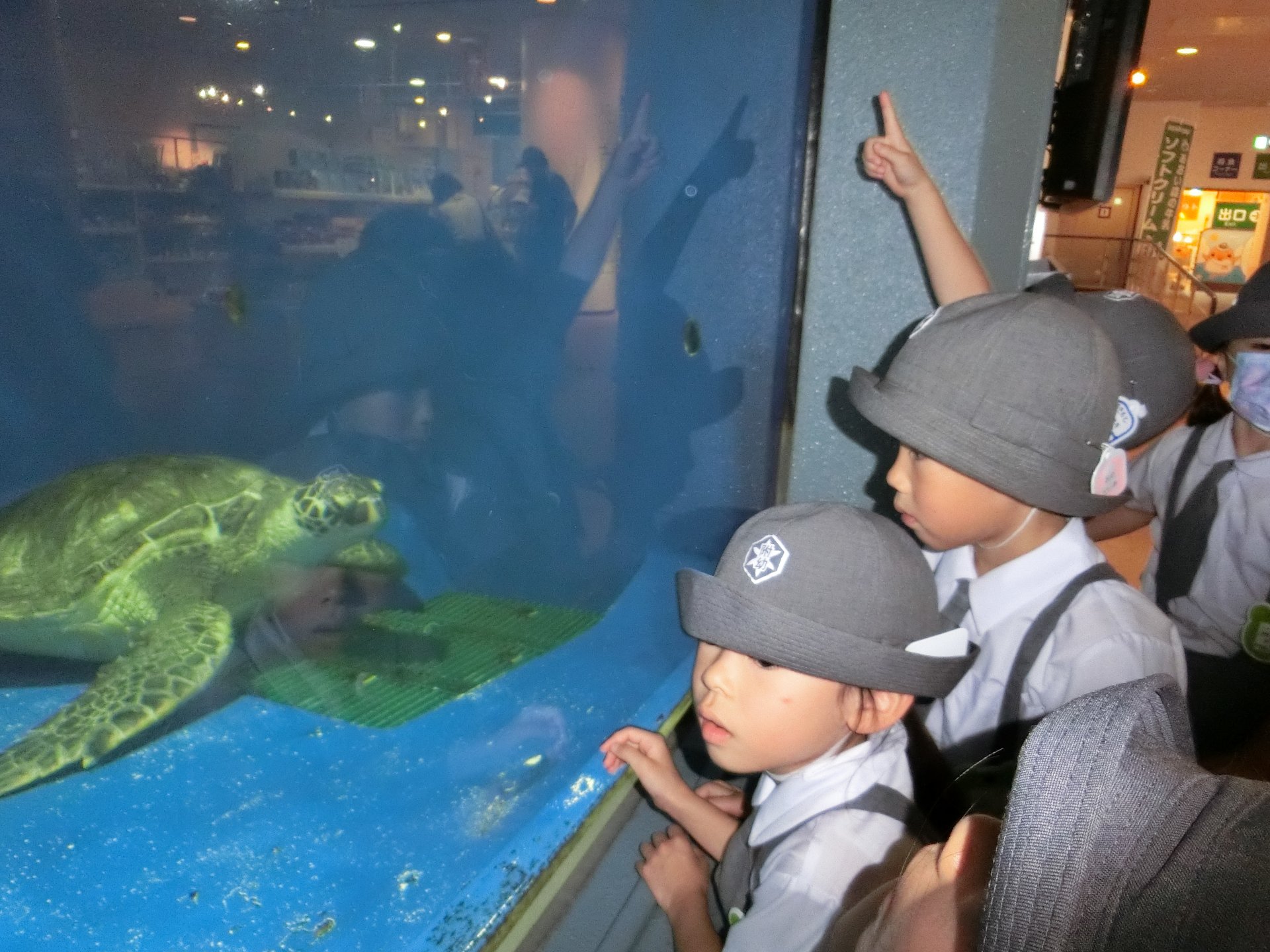 水族館を満喫する園児たち
