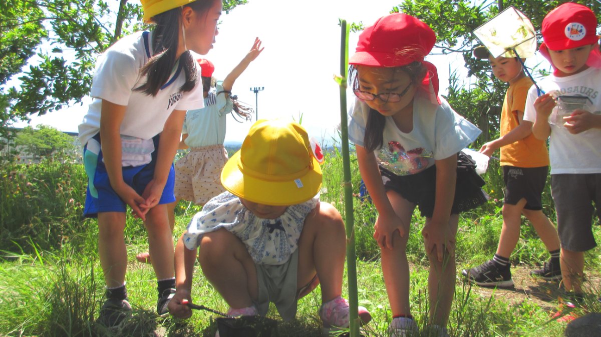 幼保小連携架け橋プログラム～横内小学校1年生とビオトープで交流～