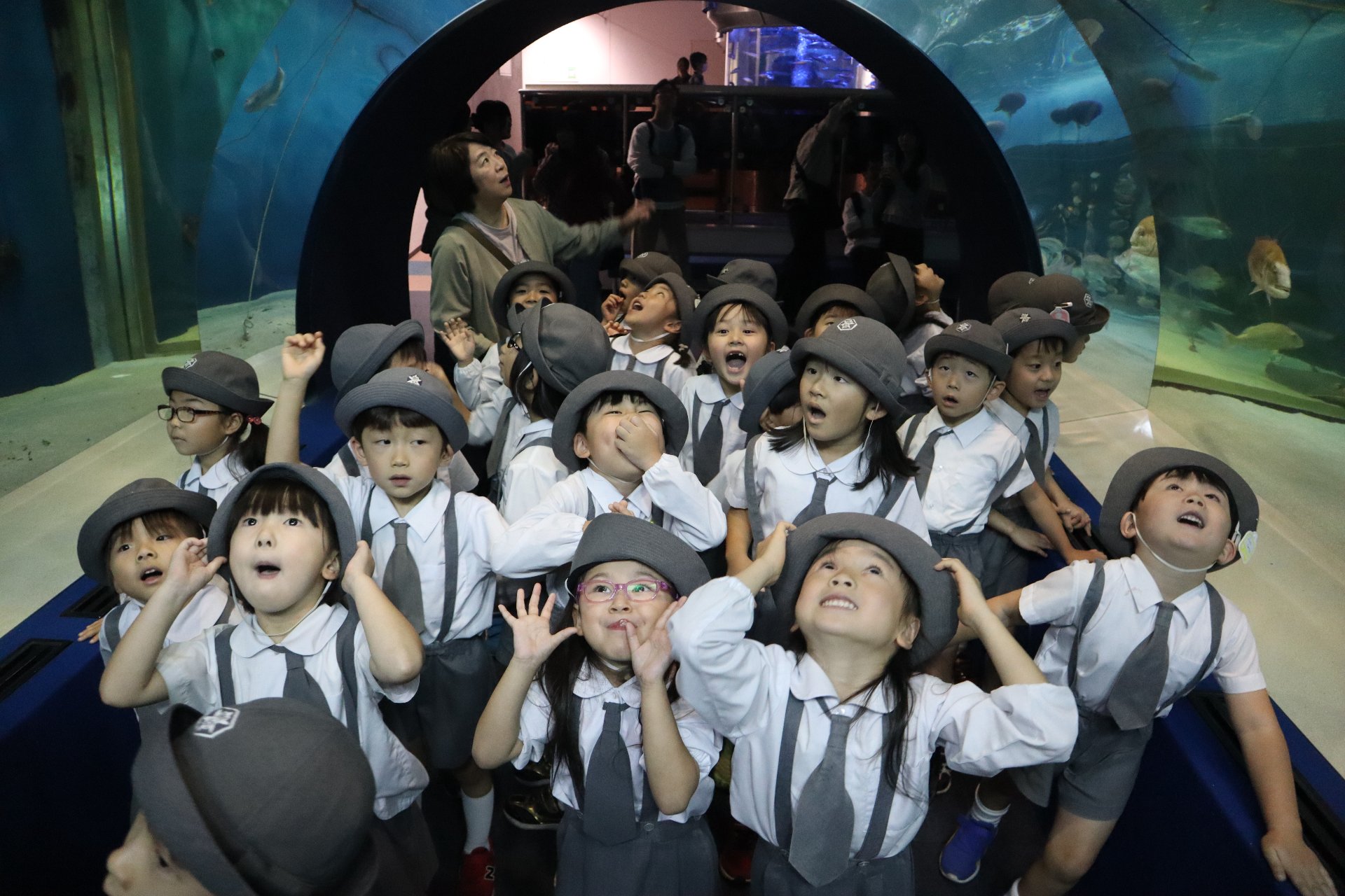★水族館見学★