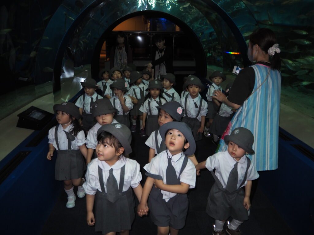 第三幼稚園＿浅虫水族館見学