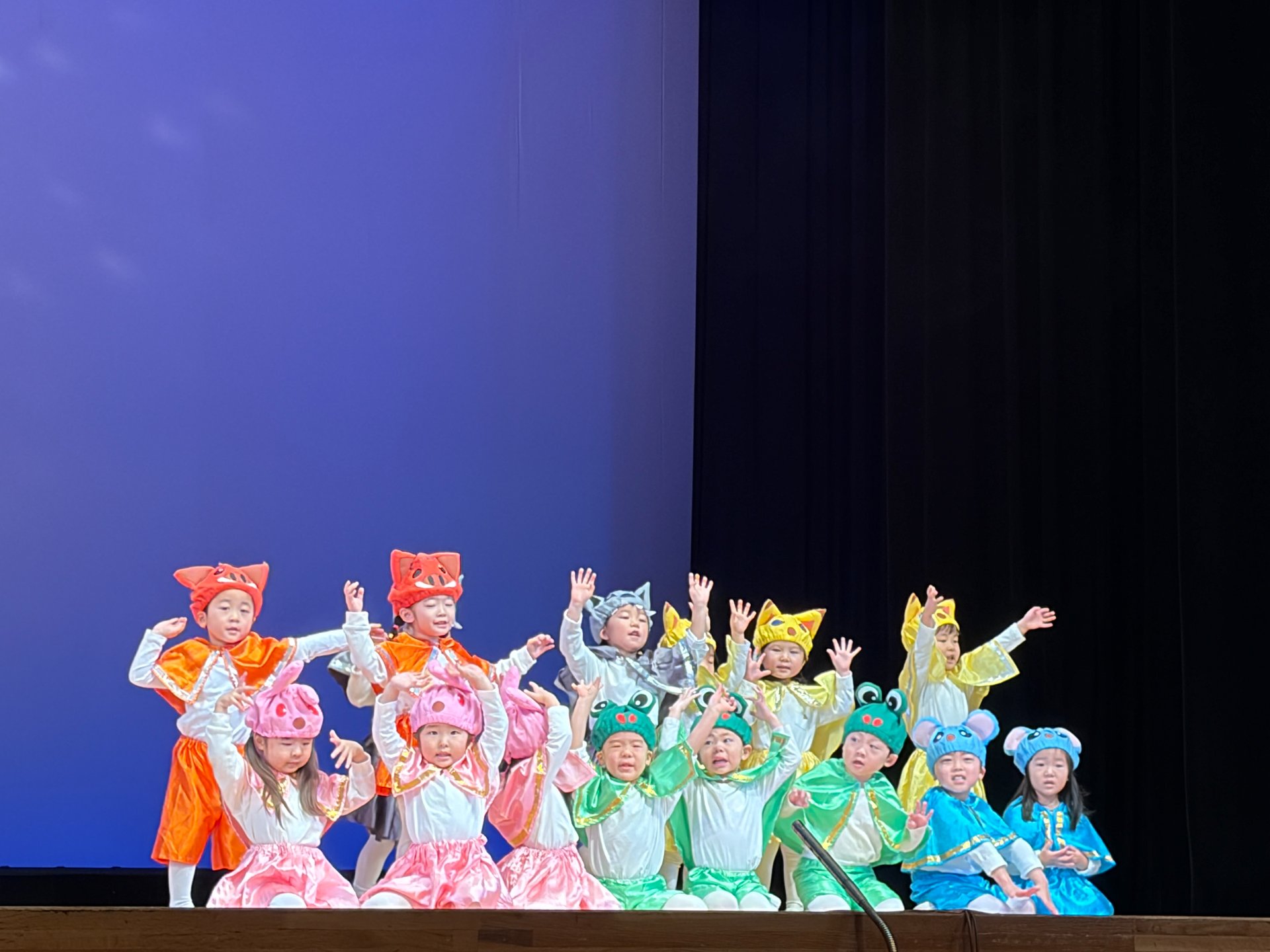 ★おゆうぎ会★