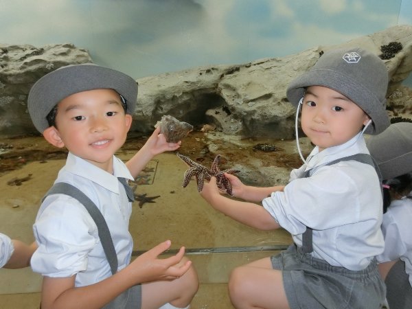 水族館見学