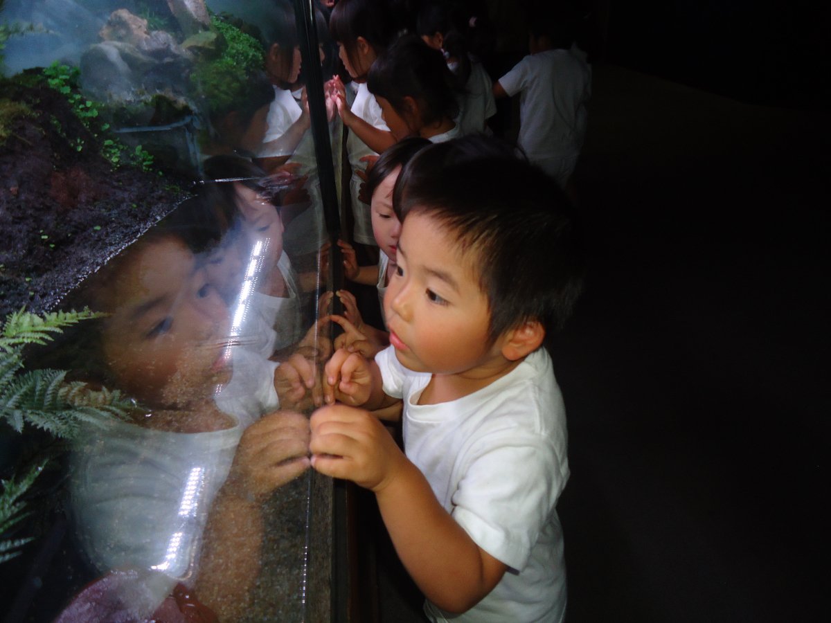 水族館見学