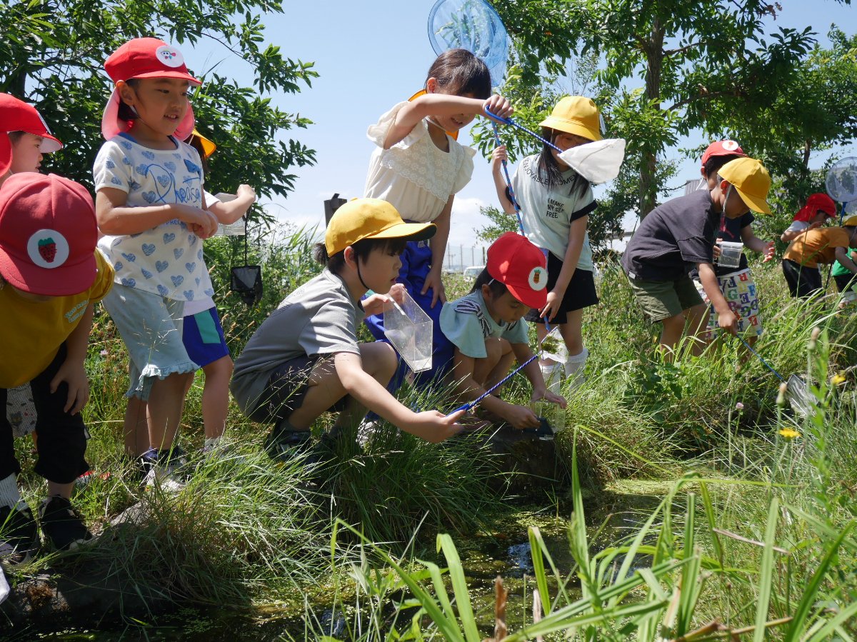 幼保小連携架け橋プログラム～横内小学校1年生とビオトープで交流～