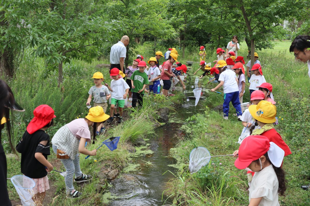 横内小1年生とビオトープで交流会～幼保小連携架け橋プログラム～