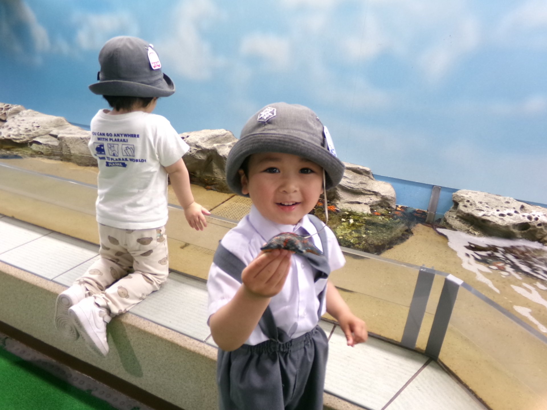 ○o。.水族館見学.。o○