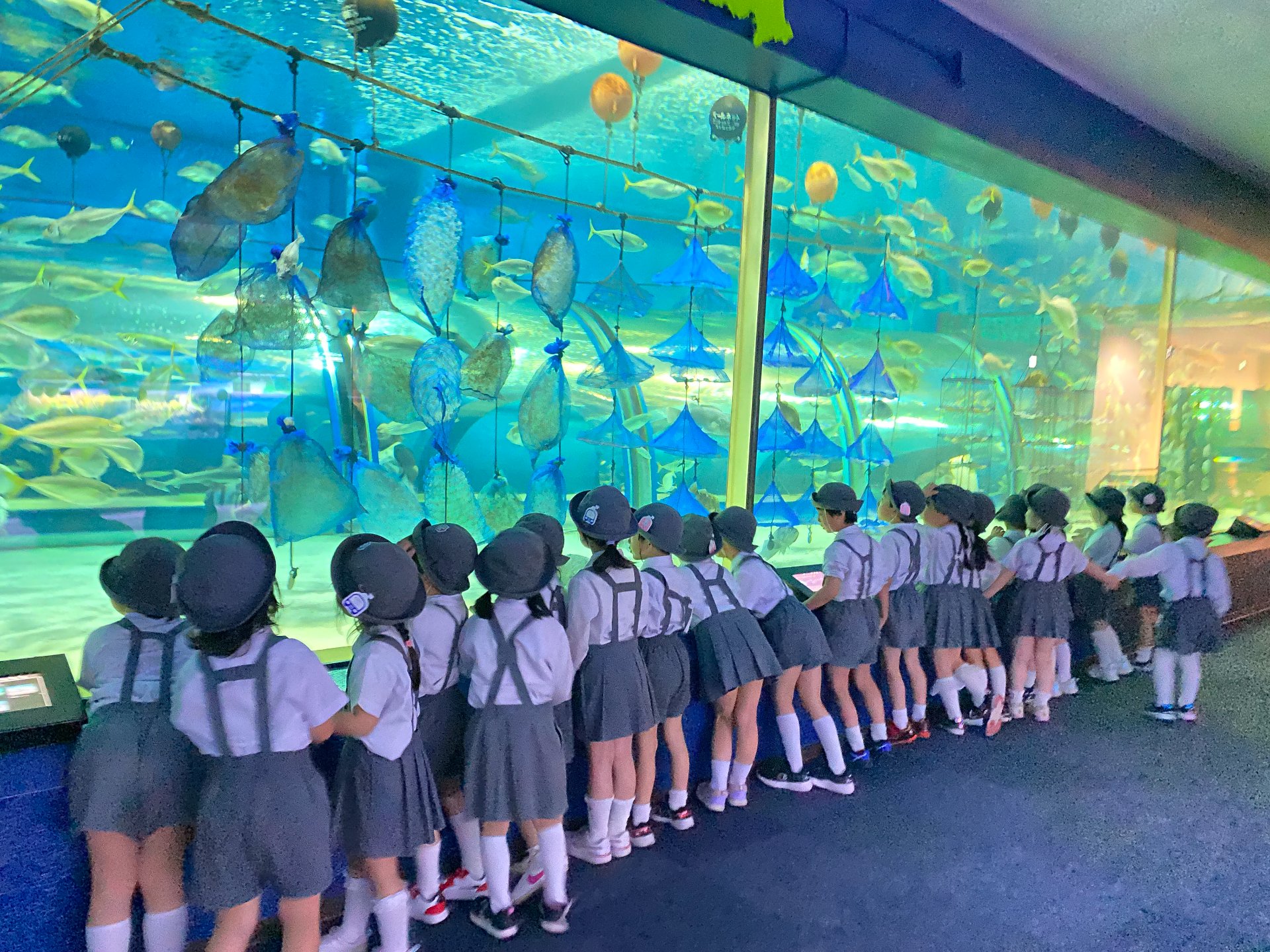 ○o。.水族館見学.。o○