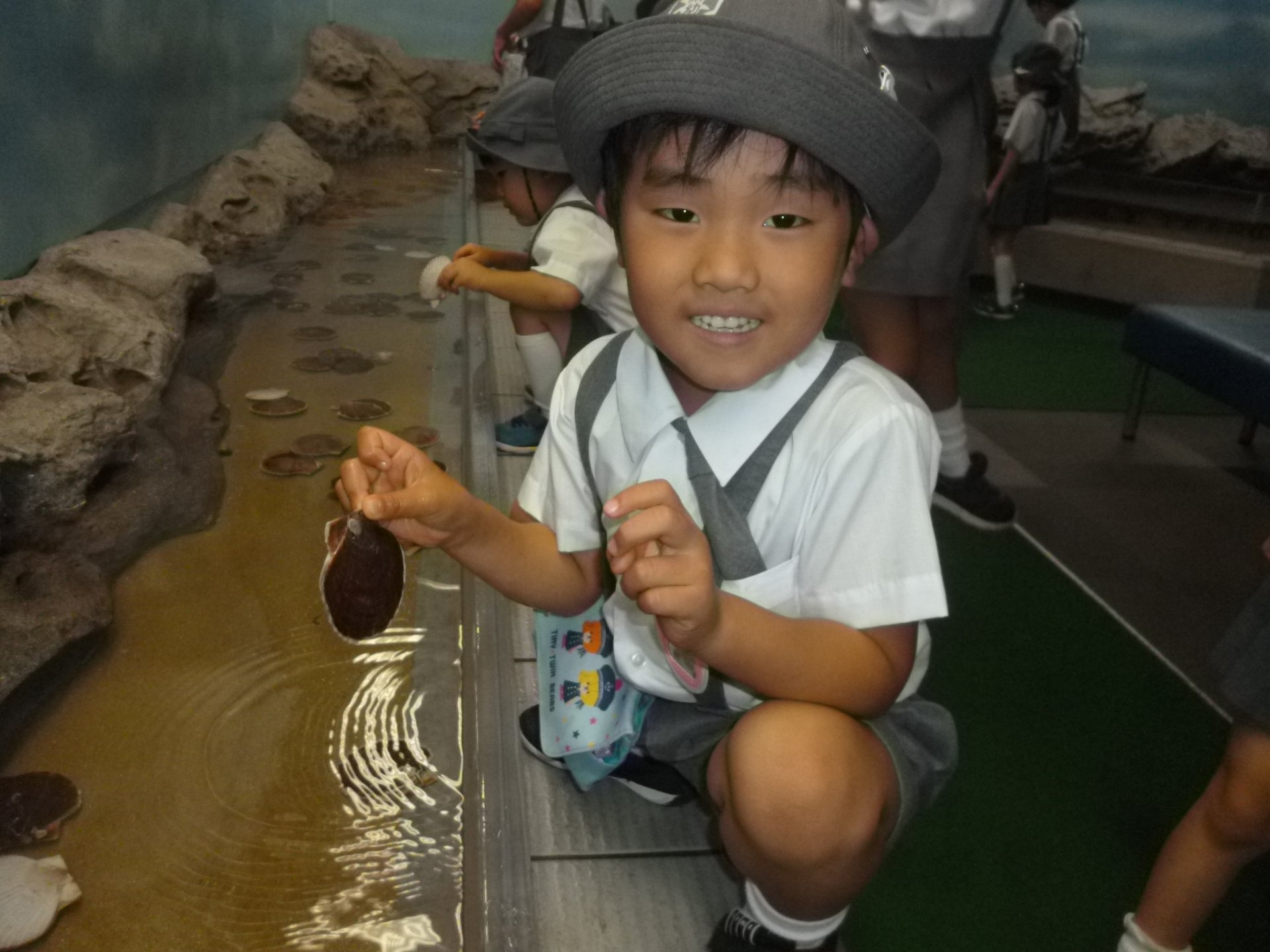 タッチコーナーで楽しむ園児たち