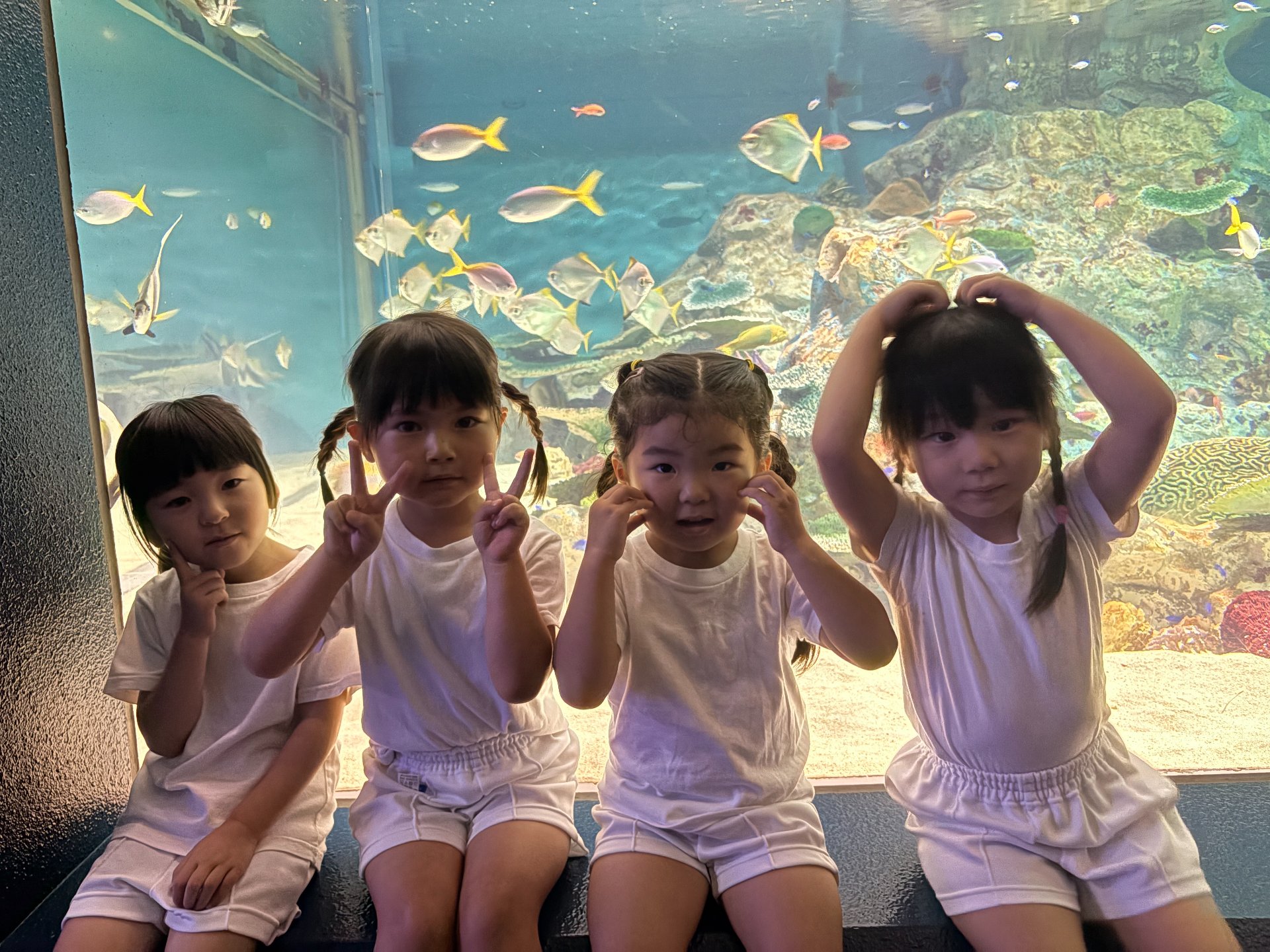 ☆水族館見学☆