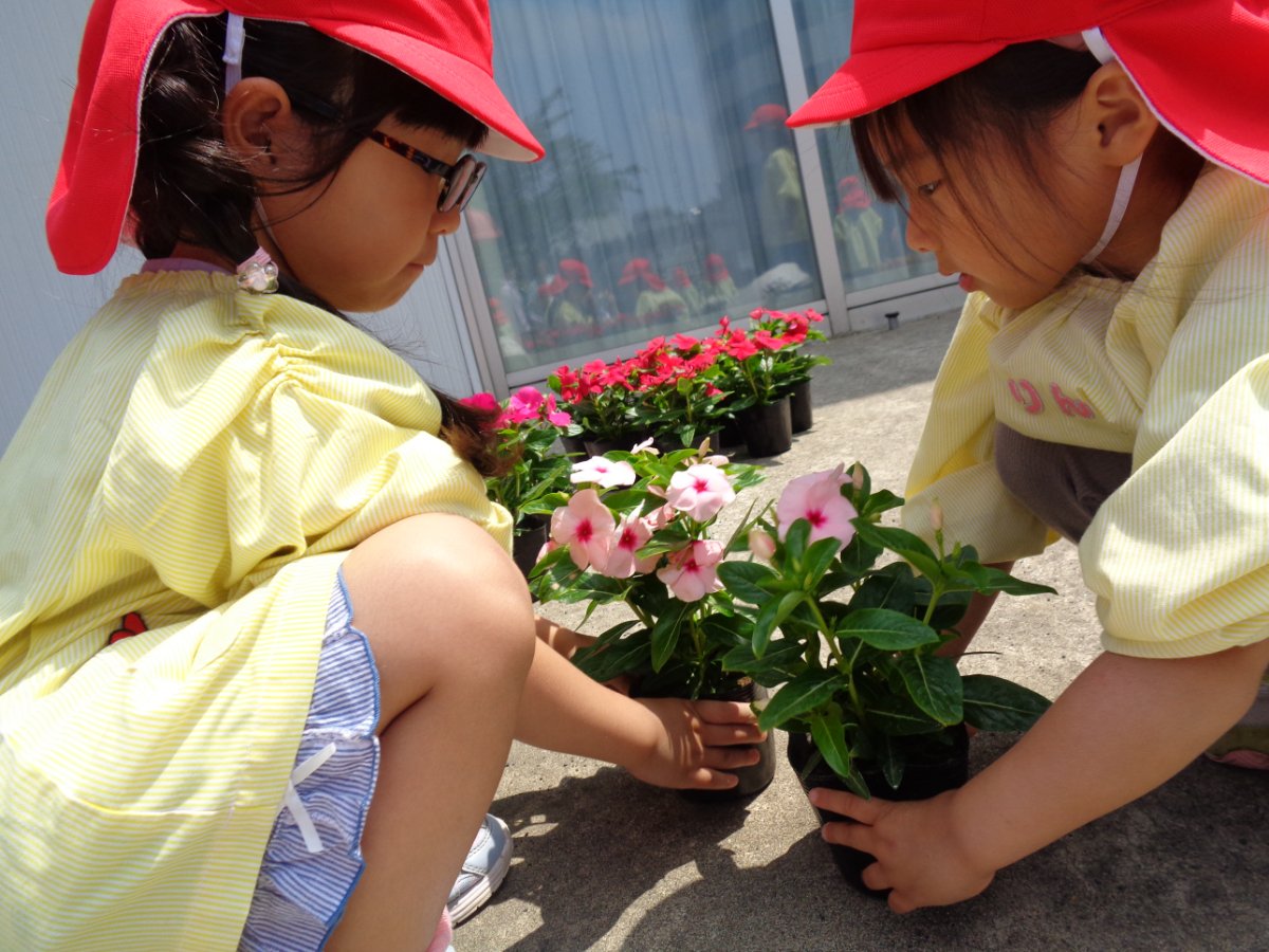 花育