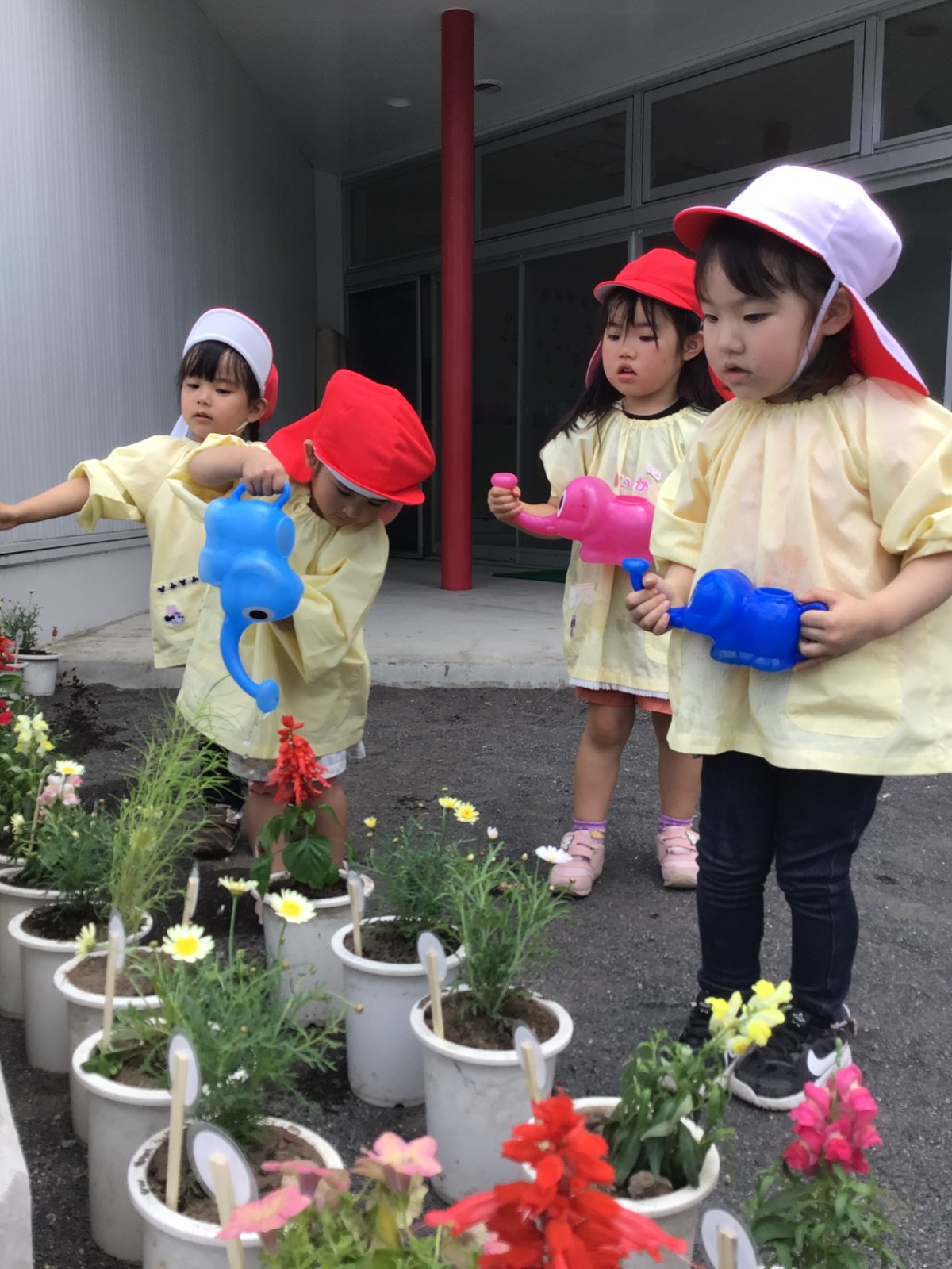 花育