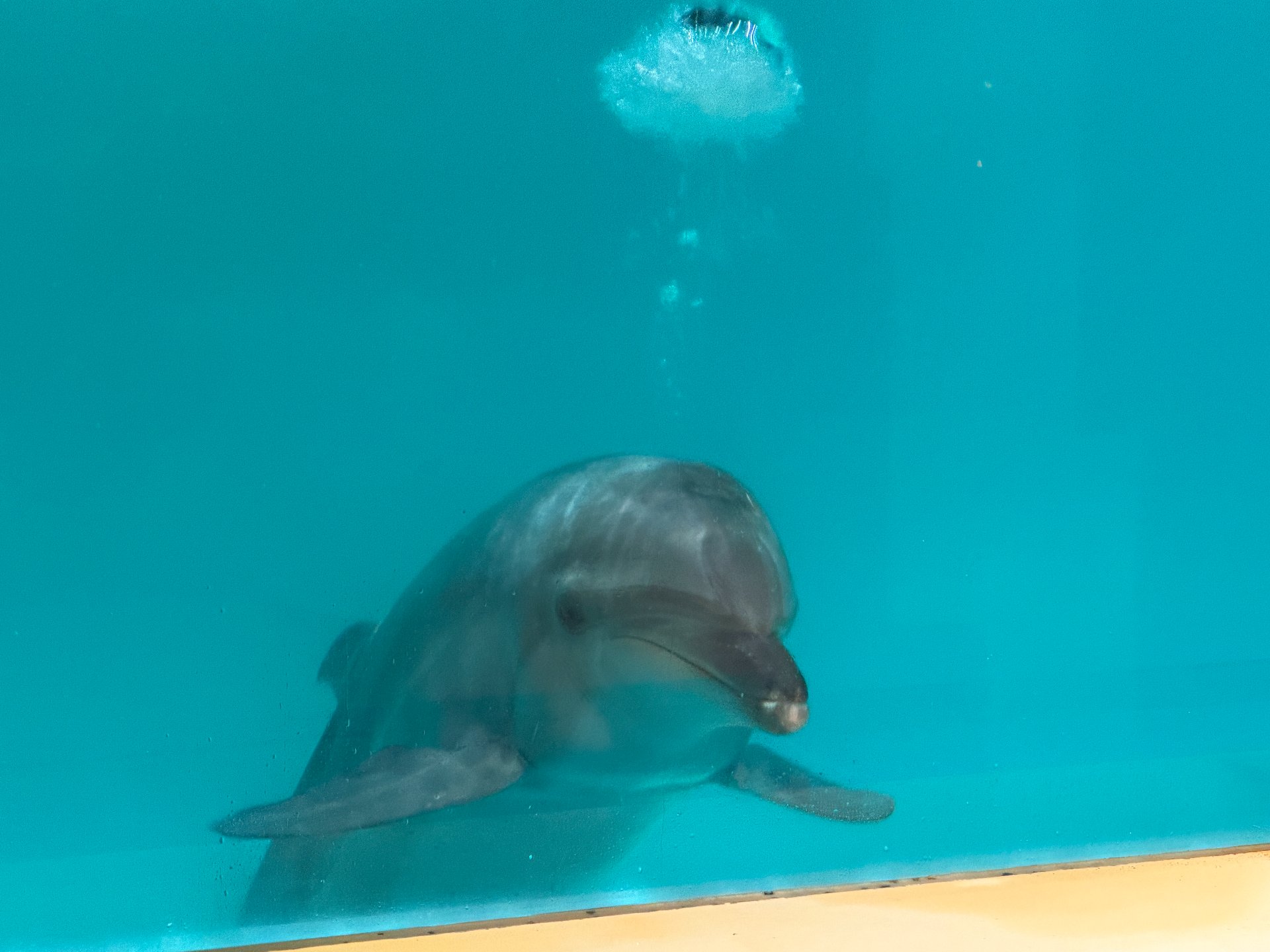 ☆水族館見学☆